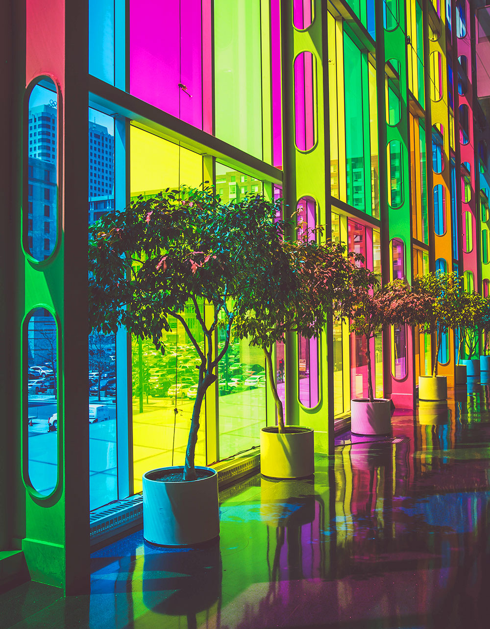 Plants inside building